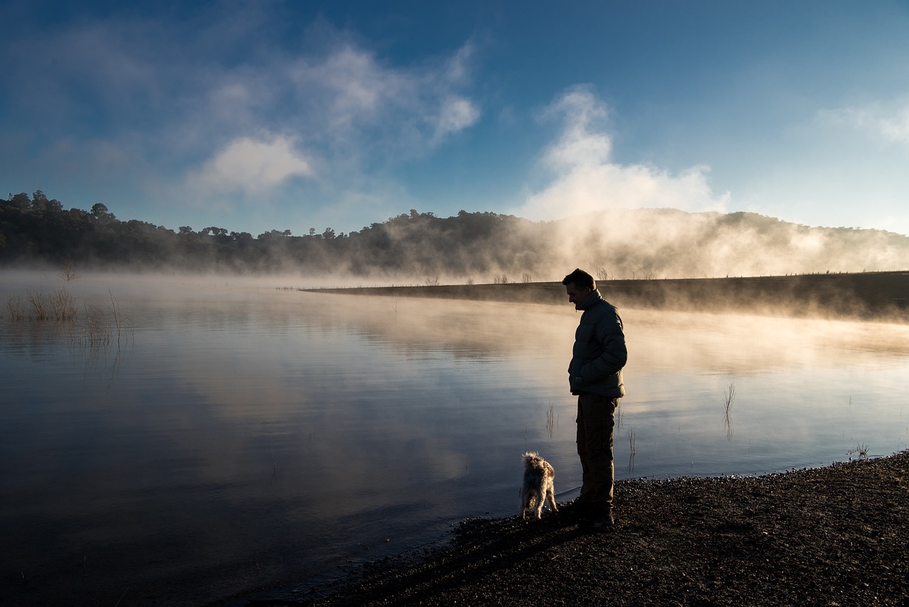 How to Help Your Dog Overcome a Fear of Water